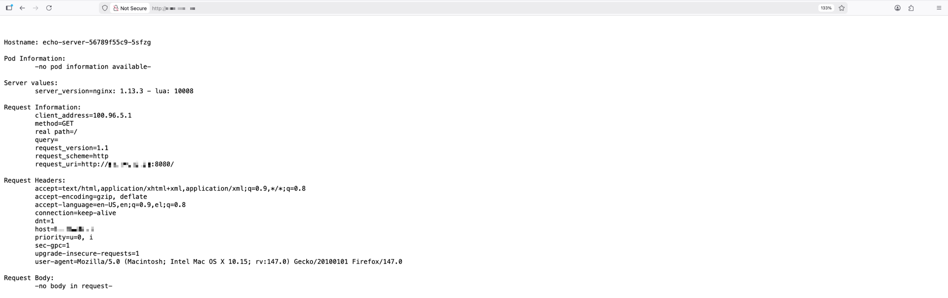 Trying out the new Kubernetes cluster with the echo-server application