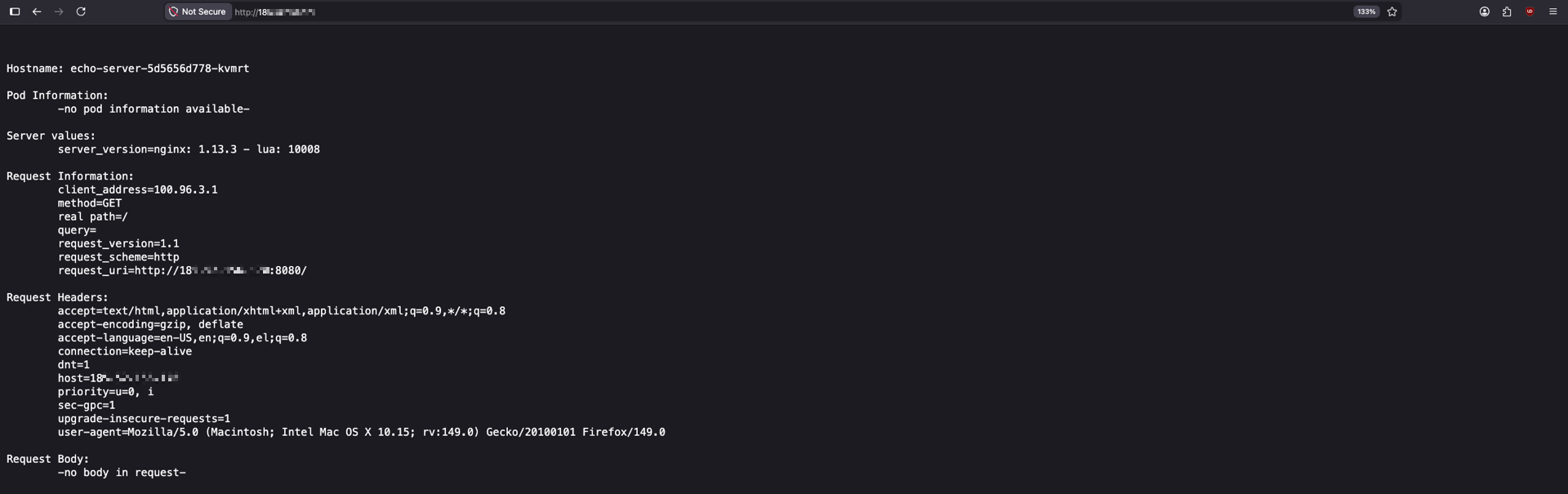 Trying out the new Kubernetes cluster with the echo-server application