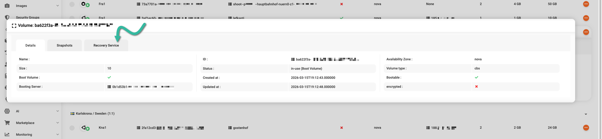 Backing volume details