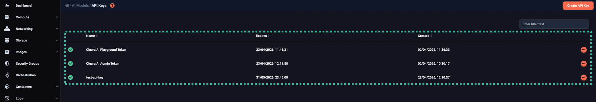 A list of all API keys, including the new one