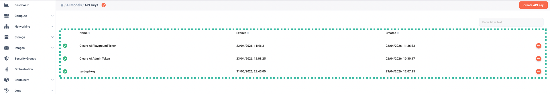 A list of all API keys, including the new one