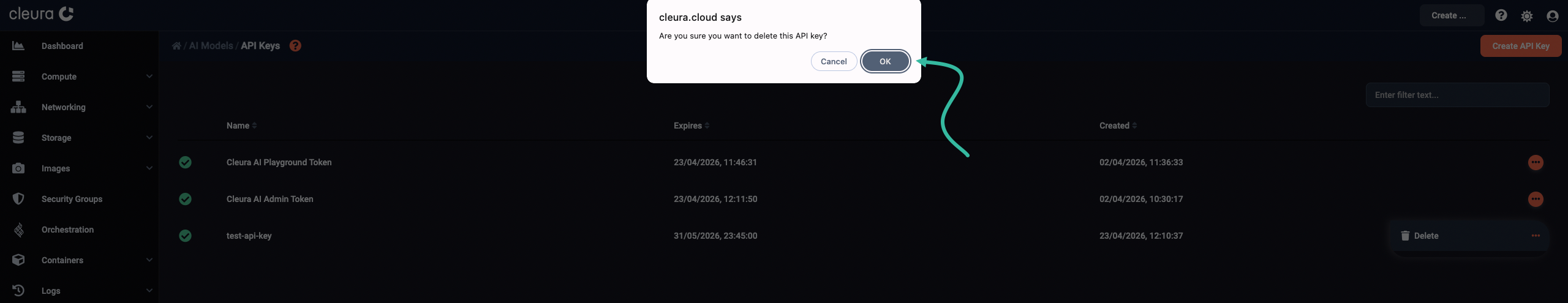 Confirm API key deletion