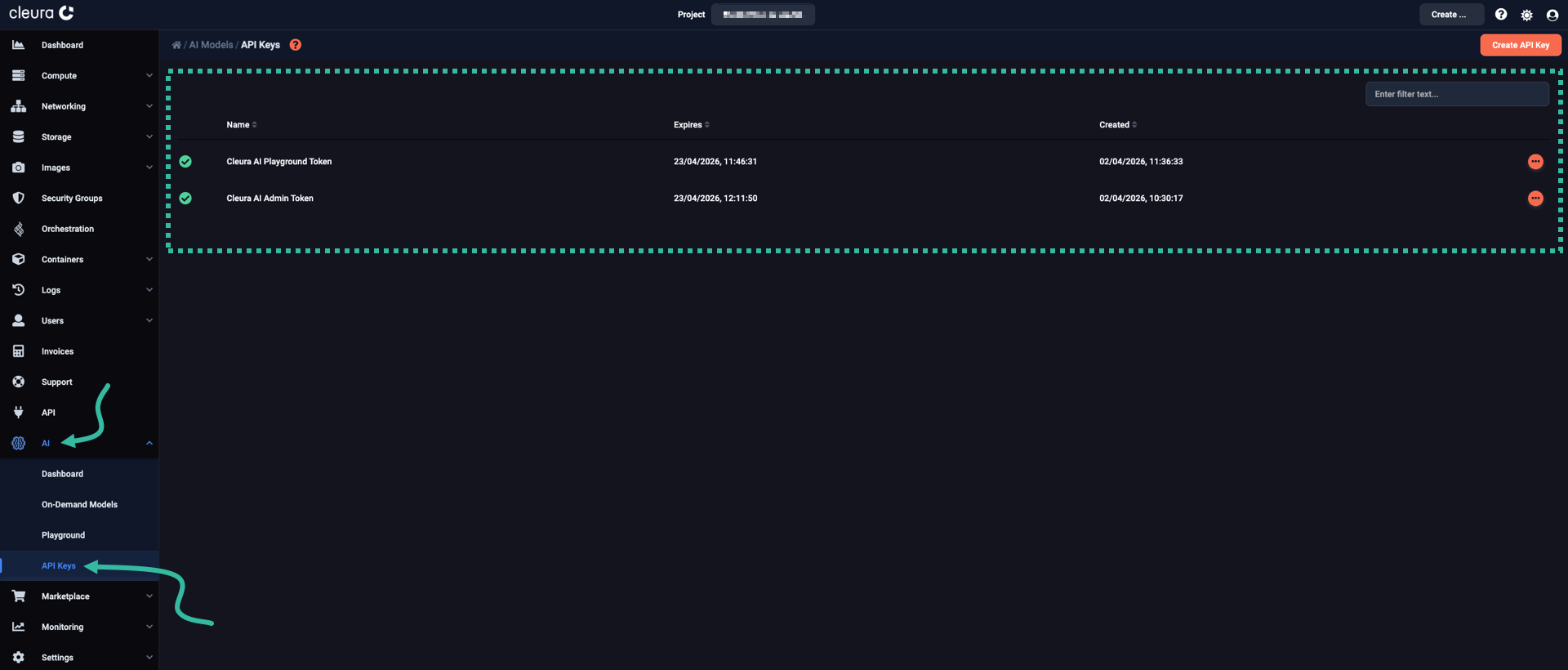 The API key has been deleted