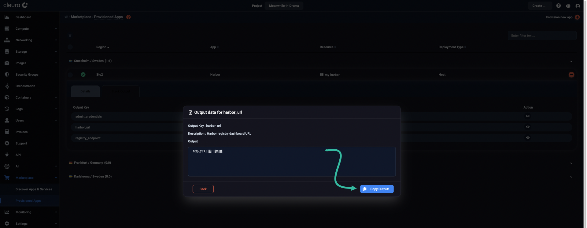Reveal the application public IP