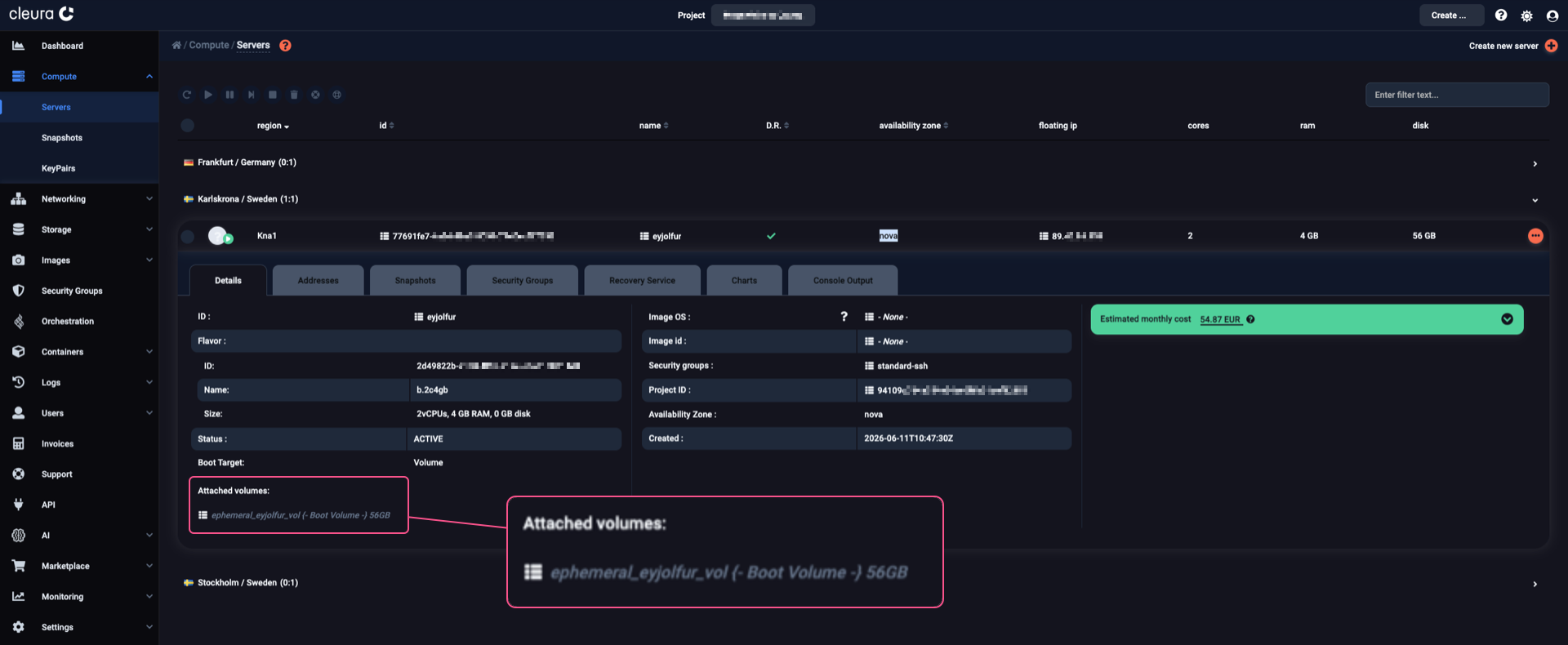 Viewing the new boot-from-volume server