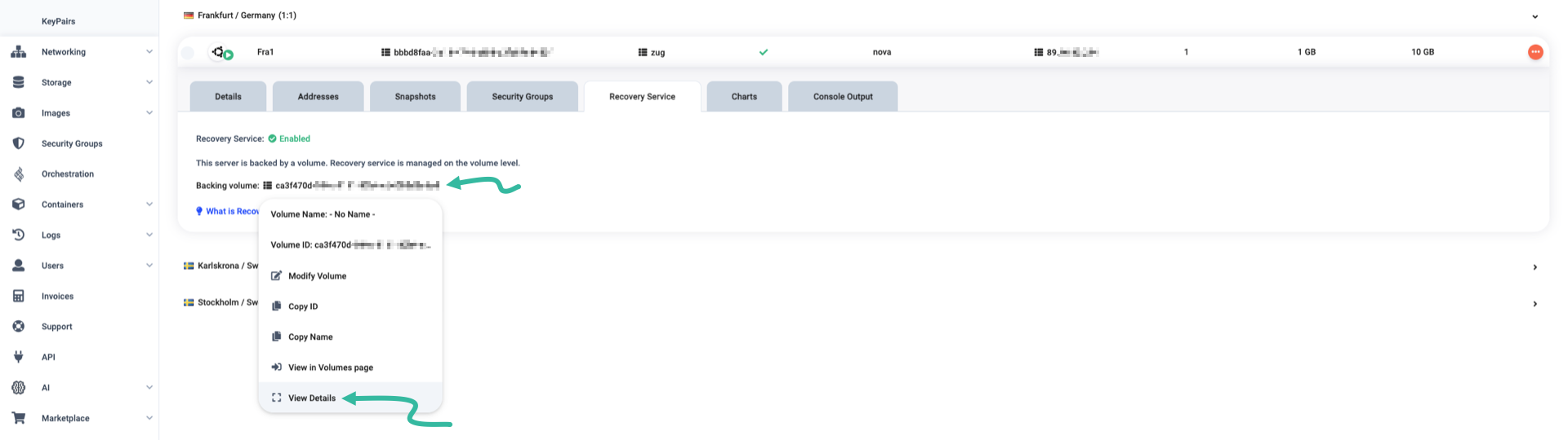 Backing volume and its ID