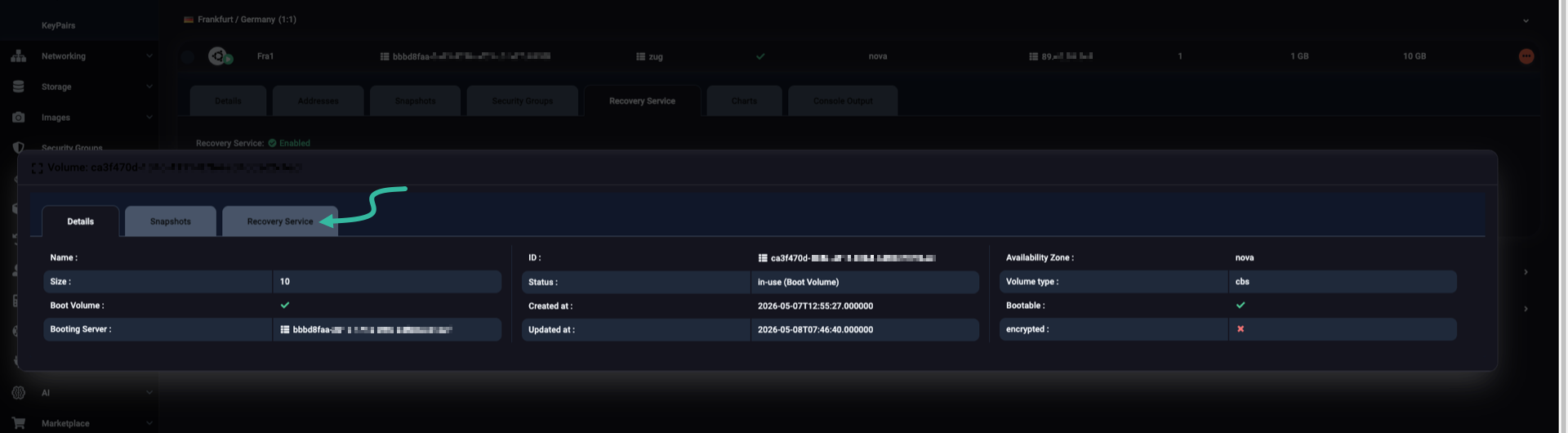 Backing volume details