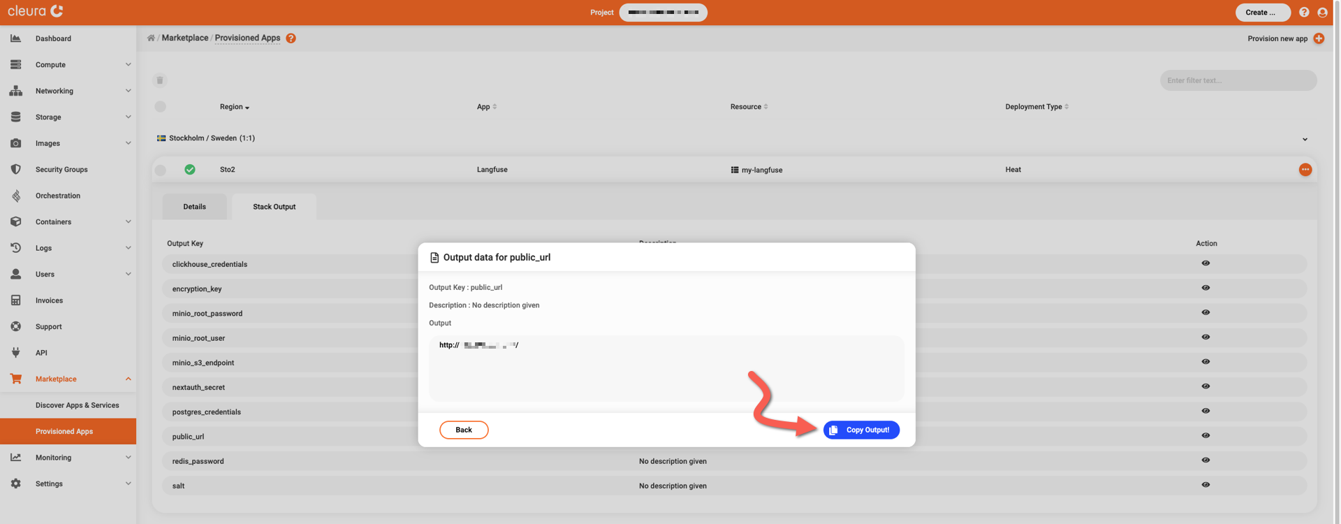 Copy the public URL to the clipboard