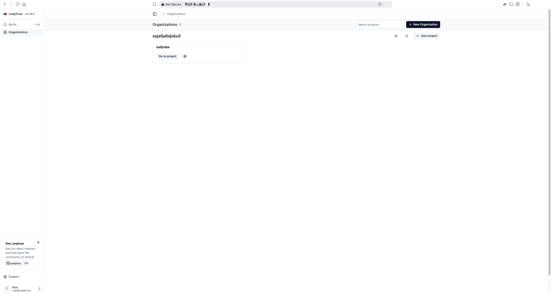 The main Langfuse page