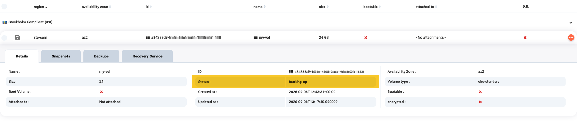 Viewing the details of a volume with a backup in progress