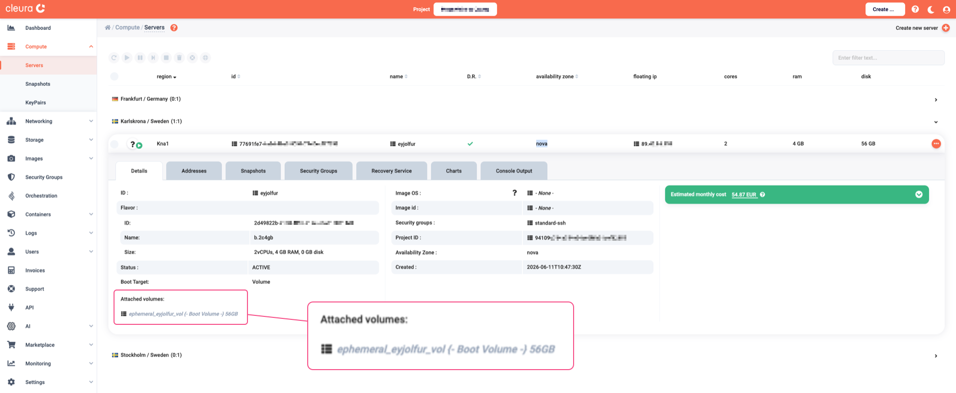 Viewing the new boot-from-volume server