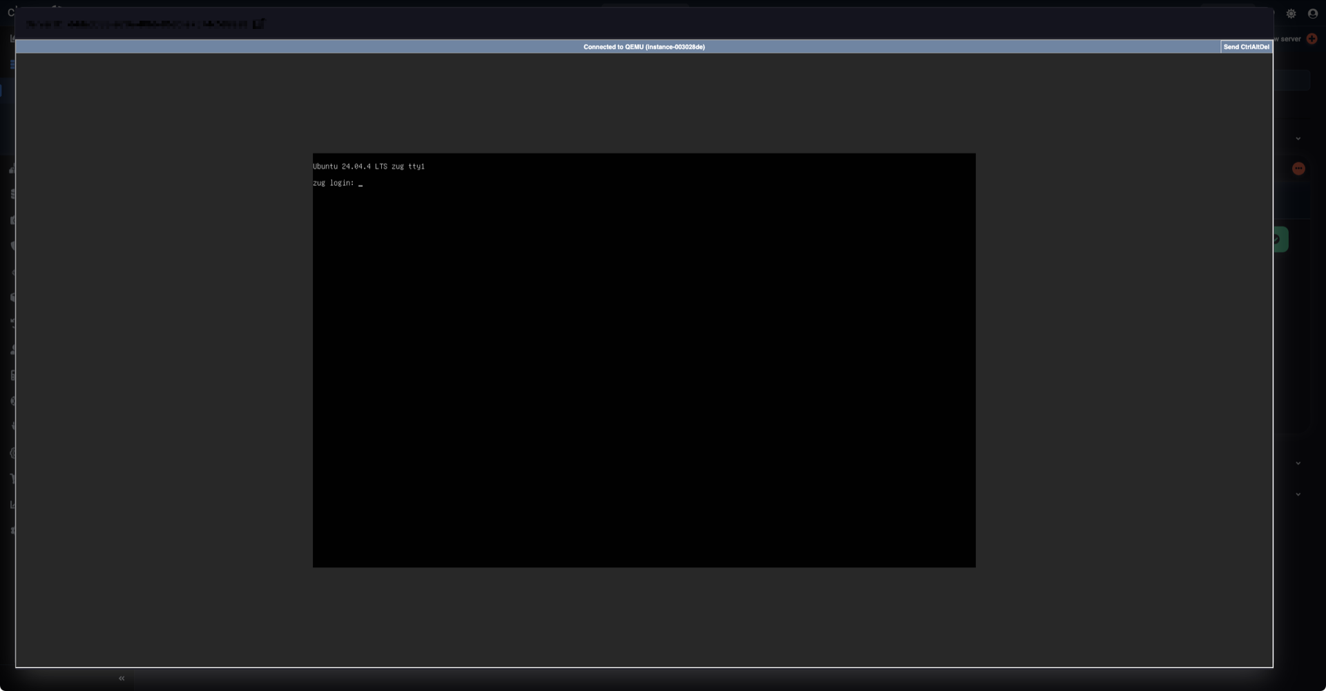 View and use server console