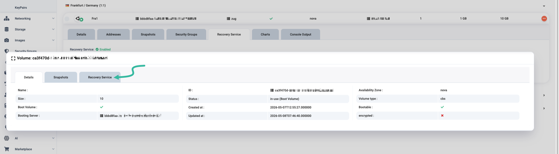Backing volume details