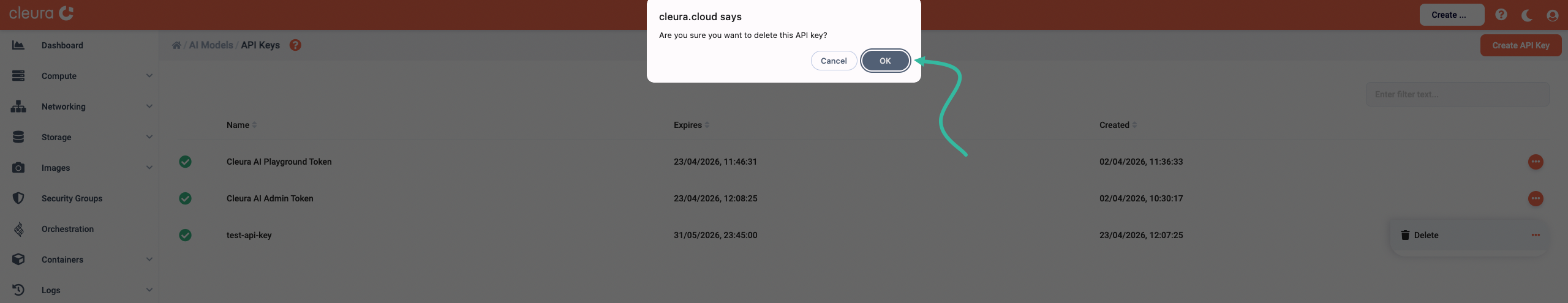 Confirm API key deletion