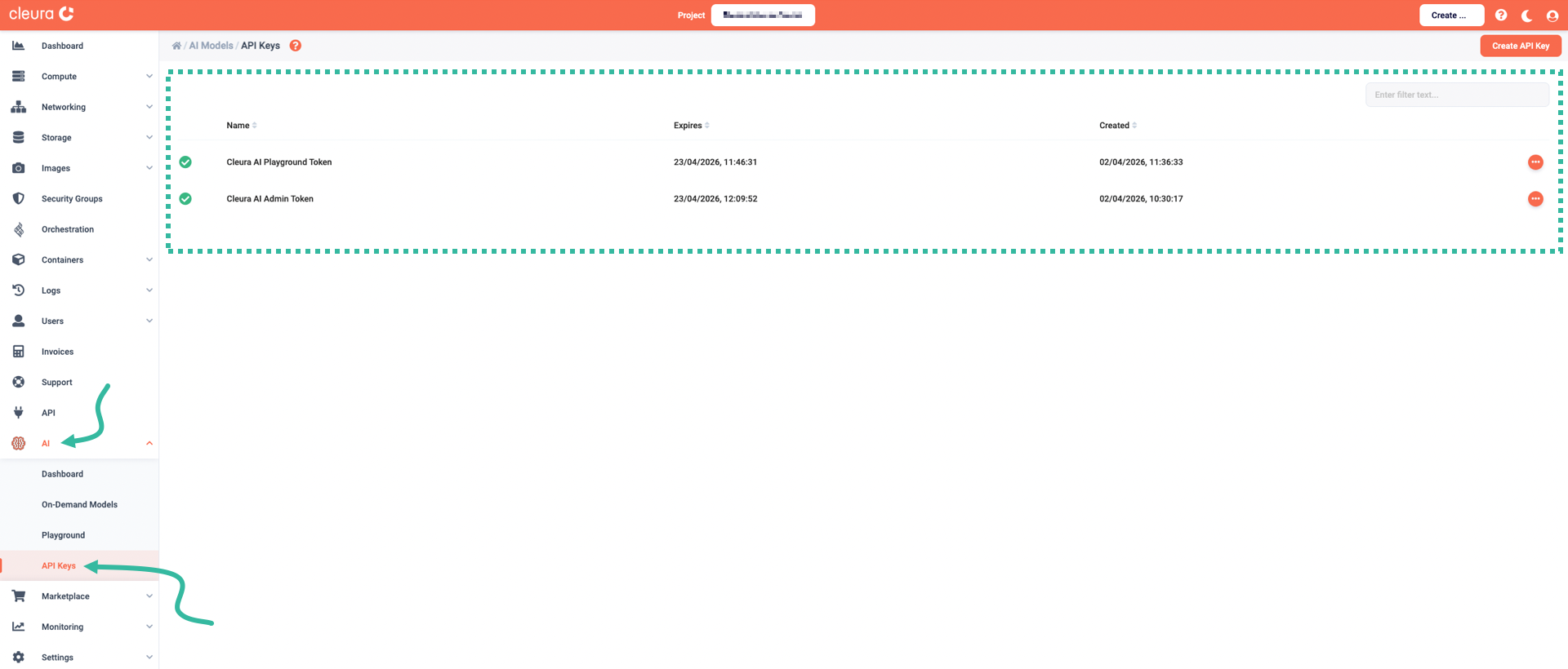 The API key has been deleted