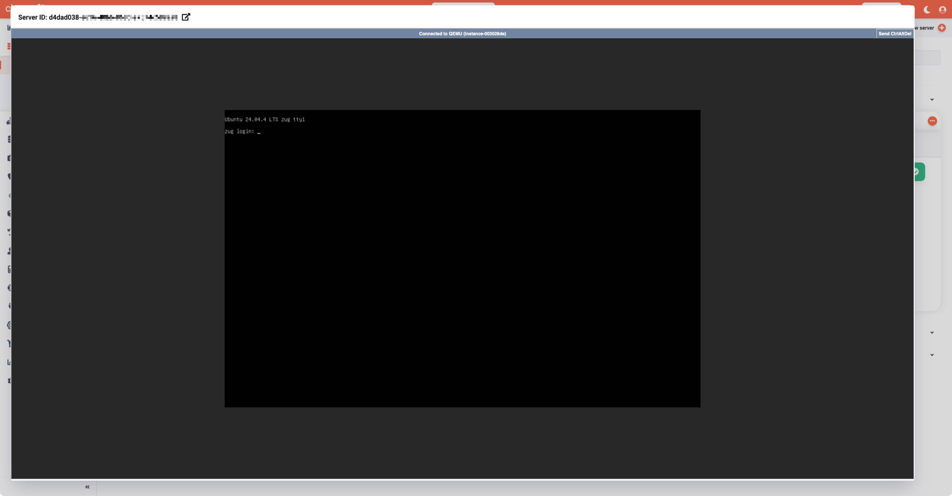 View and use server console