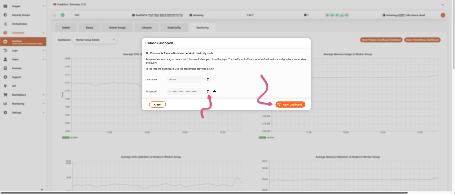 Copy the Plutono password