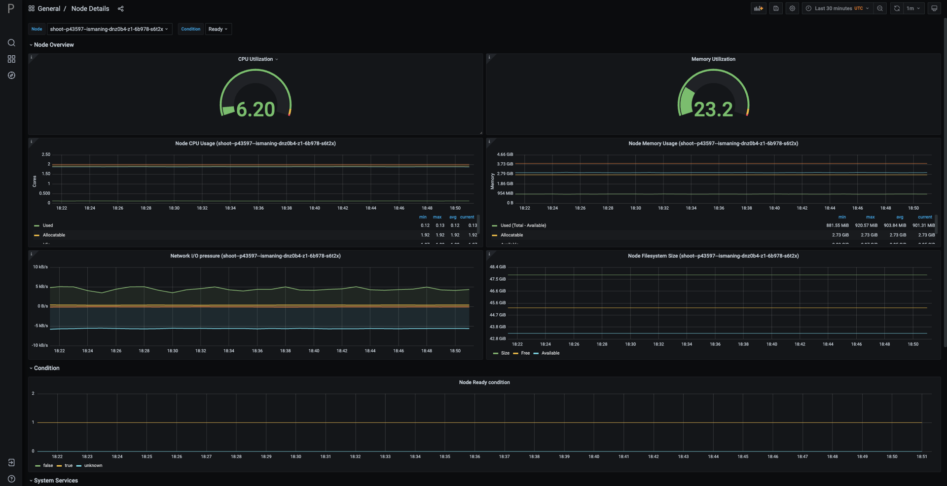 Plutono dashboard displaying information about the worker nodes