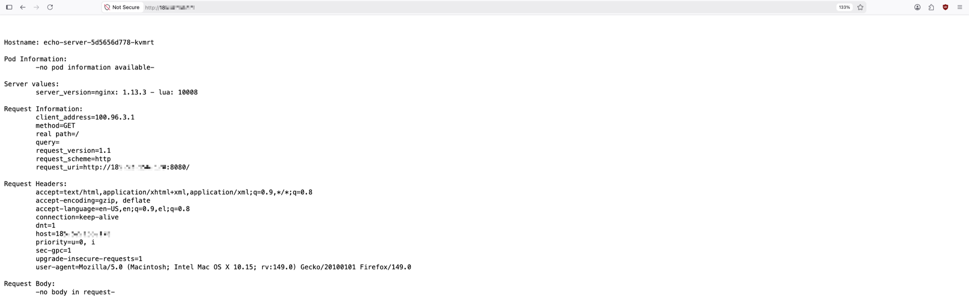 Trying out the new Kubernetes cluster with the echo-server application