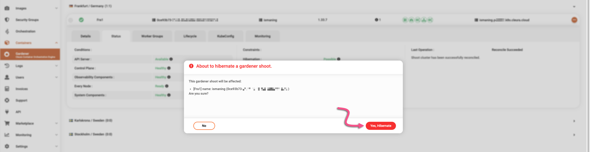 Confirm cluster hibernation