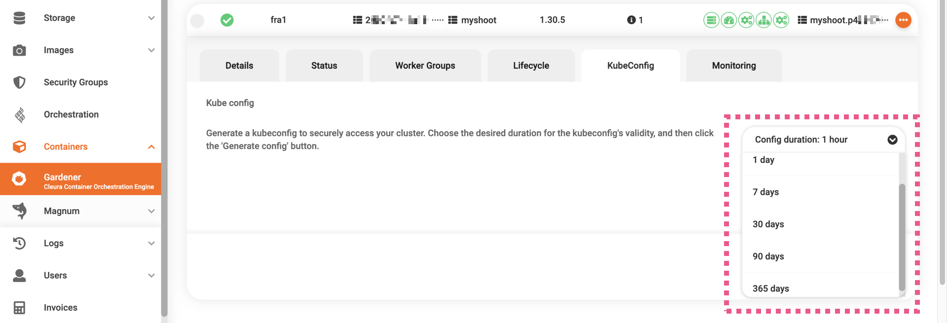 Select a validity period for kubeconfig