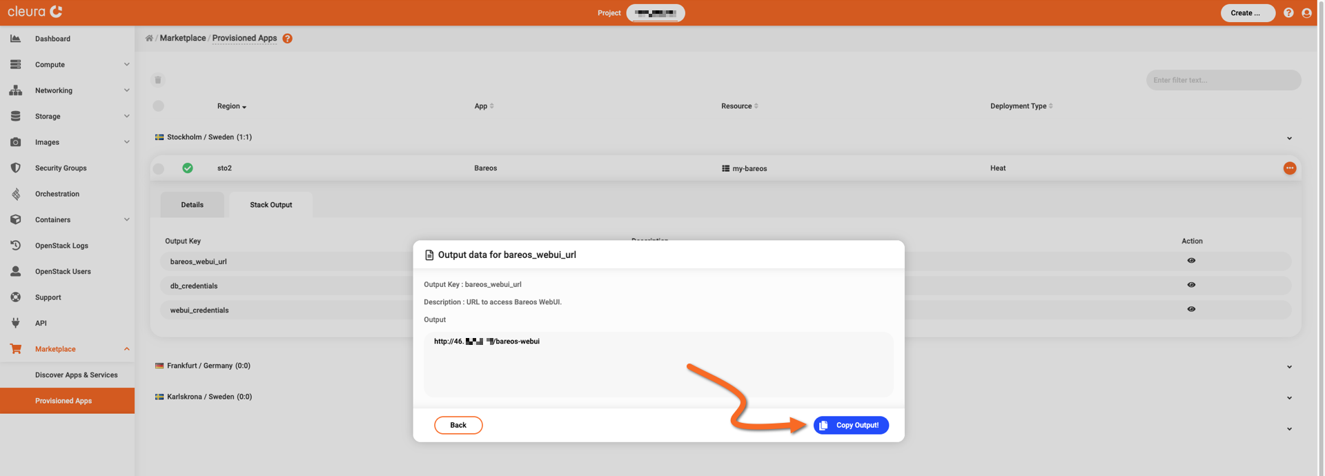 Reveal the application URL