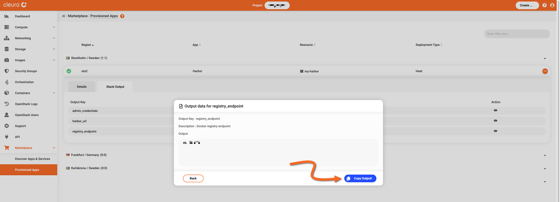 Reveal the application public IP
