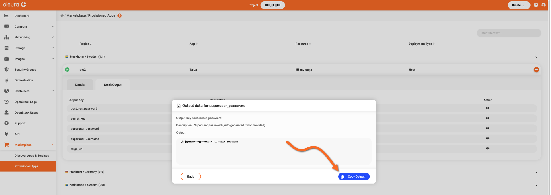 Copy the admin user password to the clipboard
