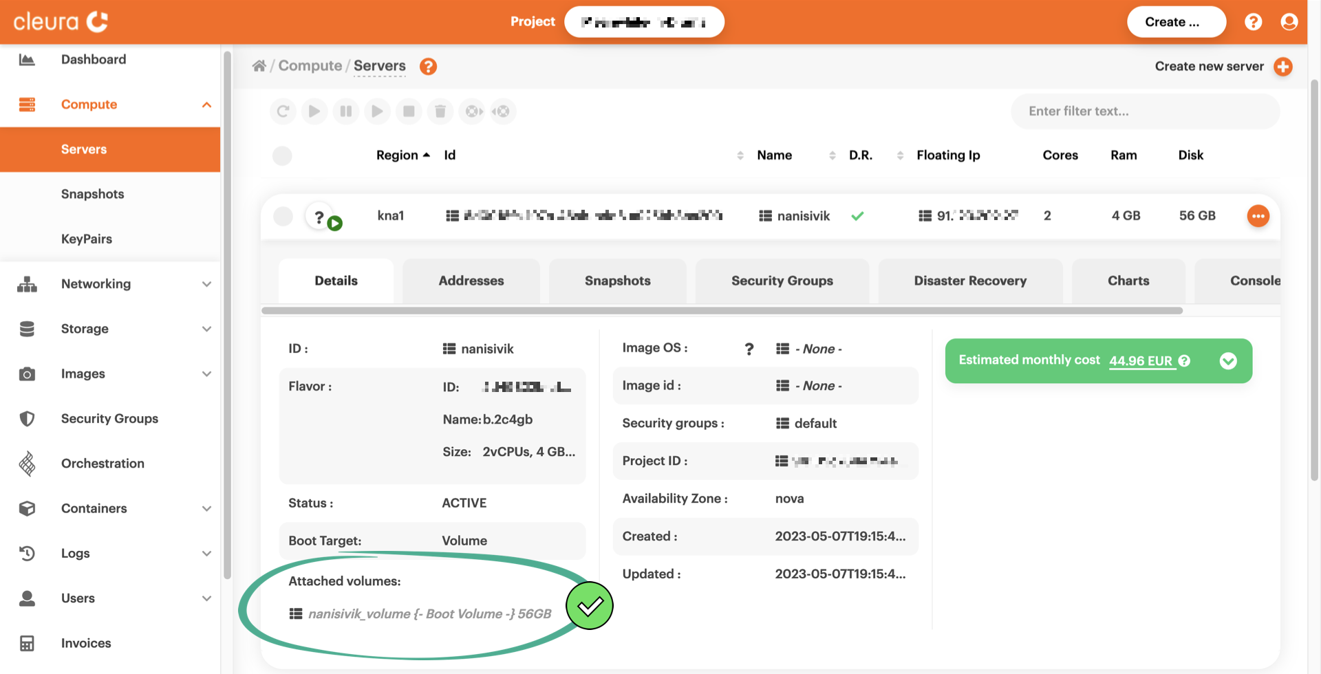 Viewing the new boot-from-volume server
