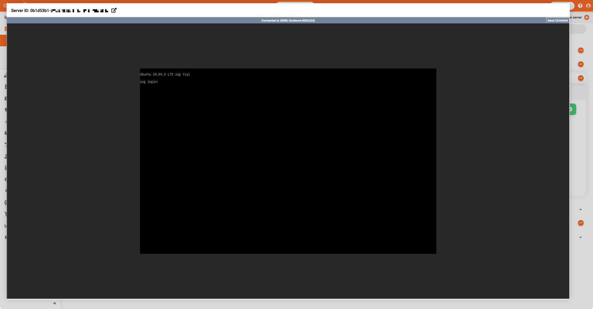 View and use server console